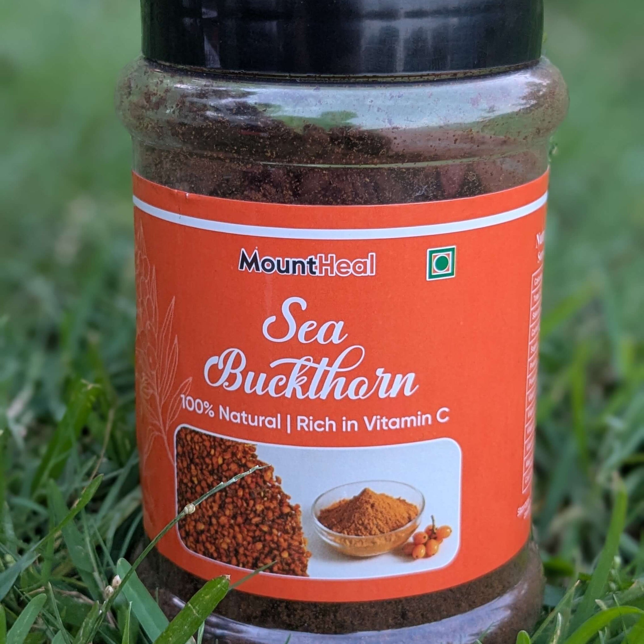 Buy Sea buckthorn Powder In Pakistan