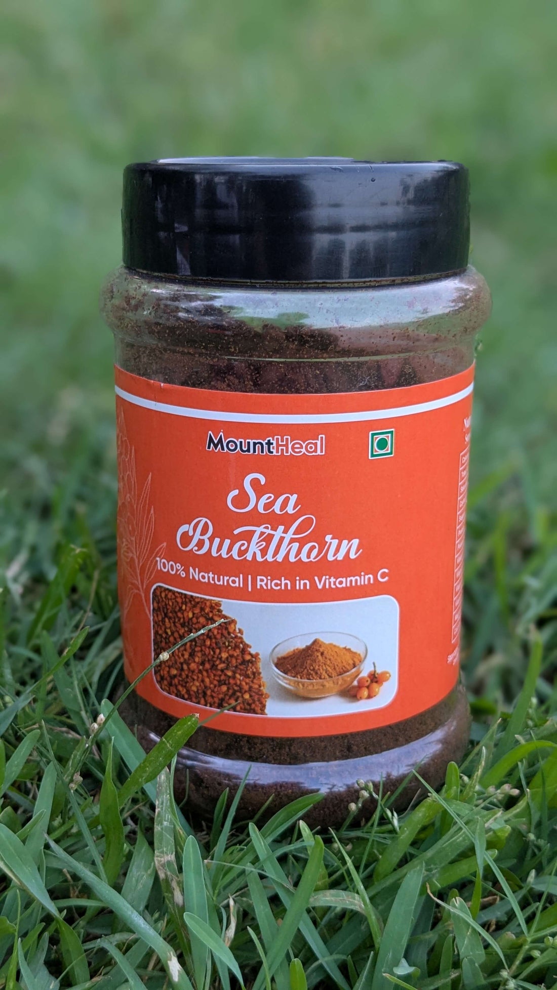 Buy Sea buckthorn Powder In Pakistan