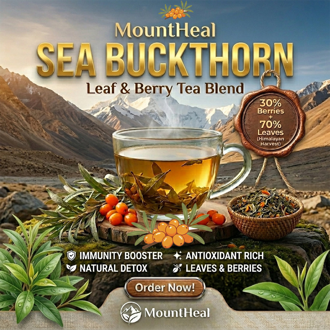 Sea Buckthorn Leaf Tea - Pure Himalayan Wellness in Every Sip