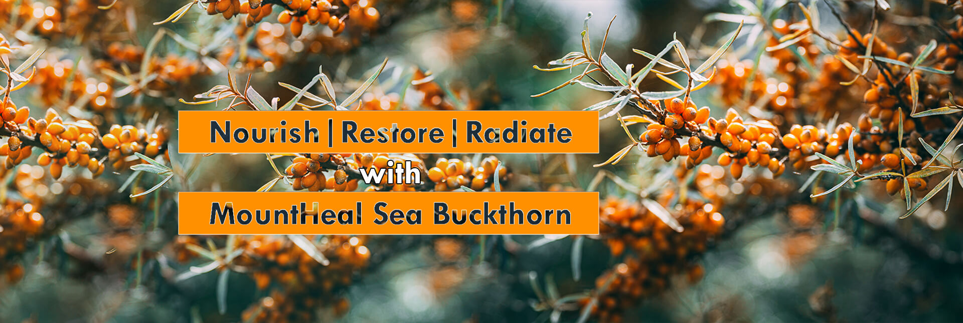 slider image 1621243260e1af0c20-0