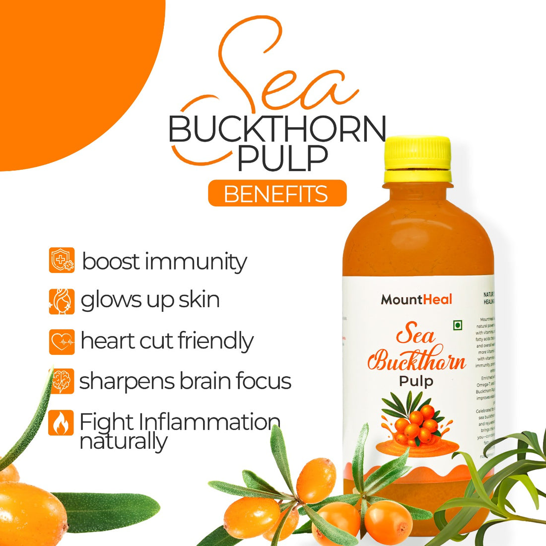 Pure Sea Buckthorn Pulp (Juice) – Nature’s Golden Gift for Your Health