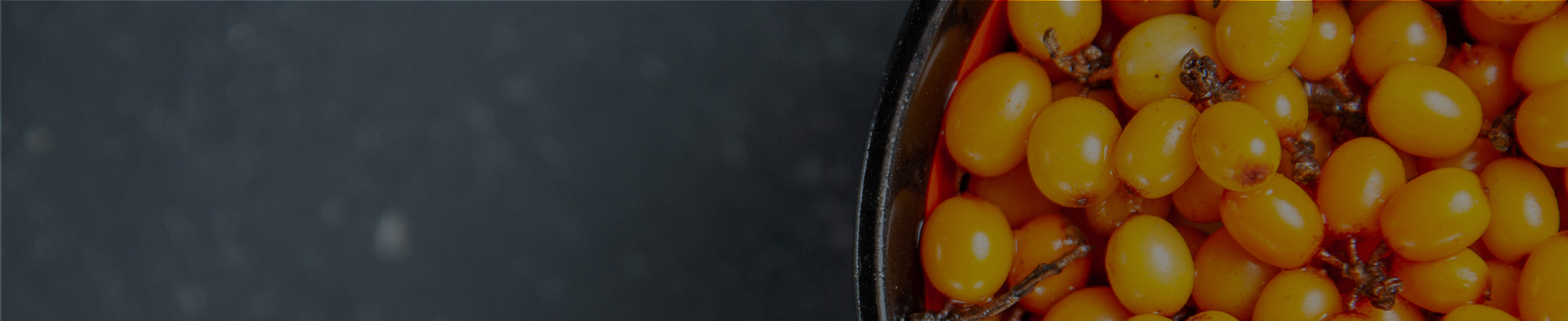 collection-banner-image