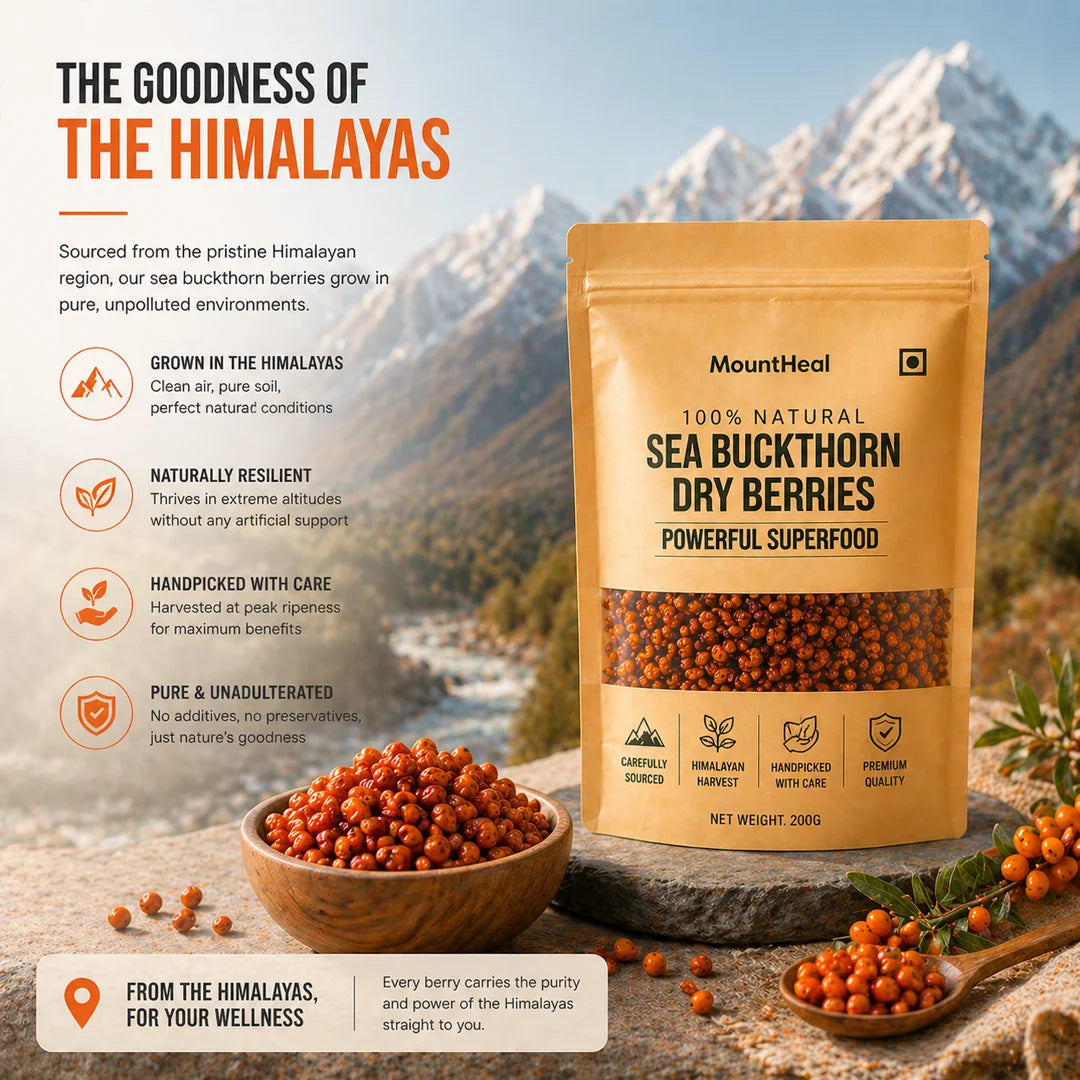 Premium Sea Buckthorn Dried Berries – 100% Natural (200g Pack)